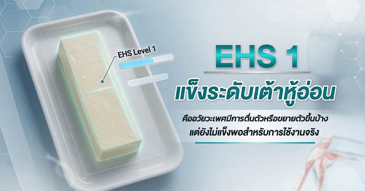 คำอธิบายรูปตามหัวข้อบทความ