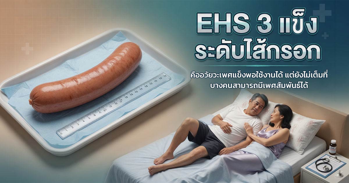 คำอธิบายรูปตามหัวข้อบทความ