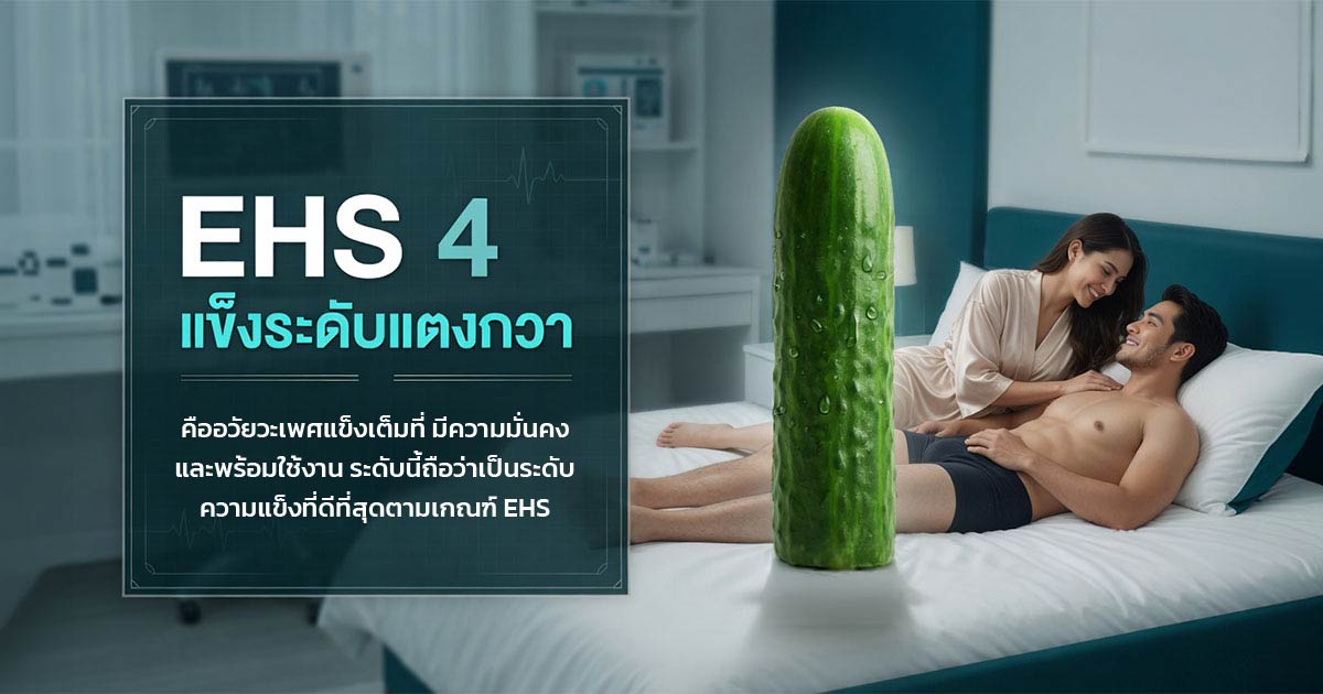 คำอธิบายรูปตามหัวข้อบทความ