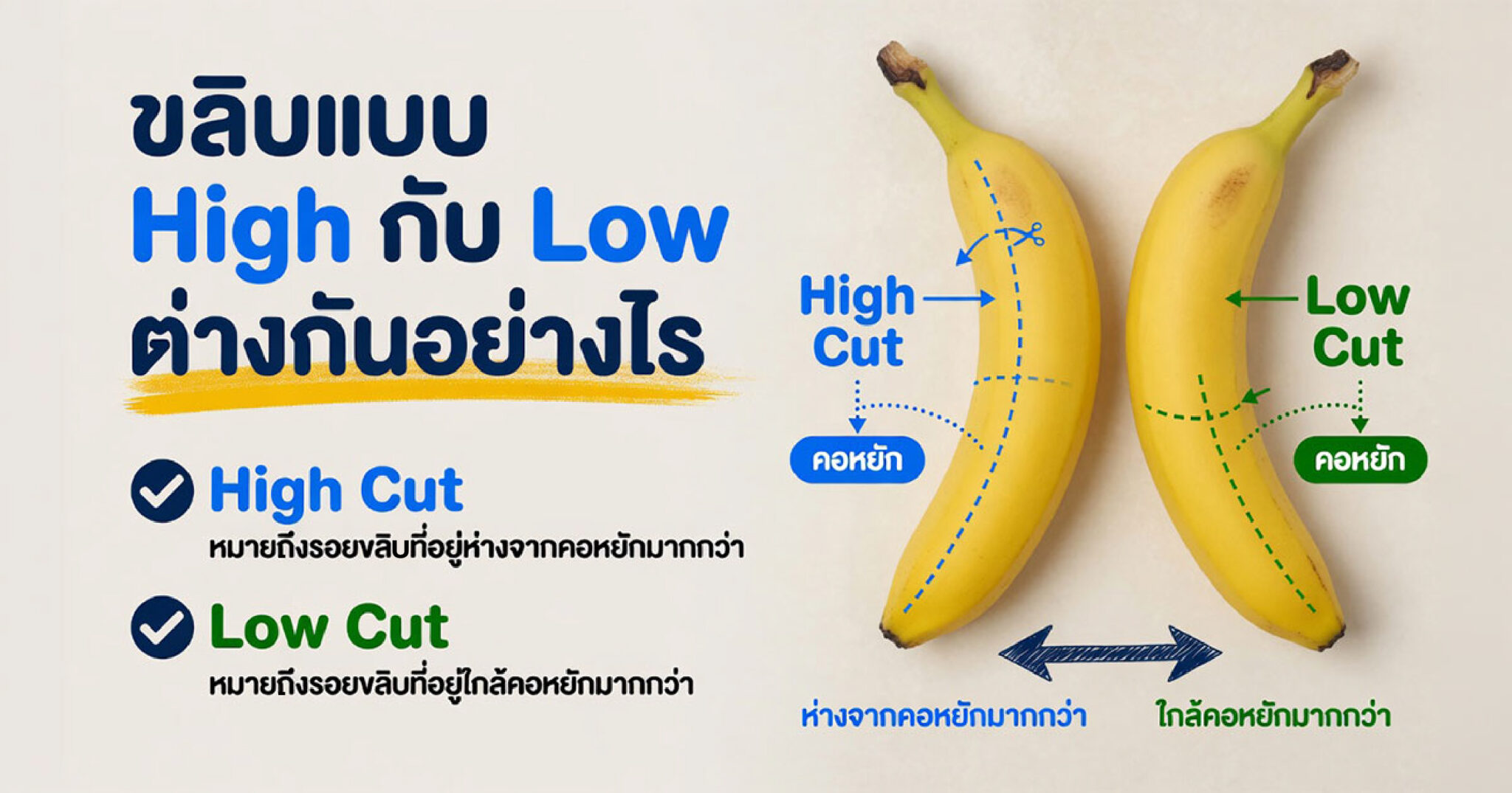 คำอธิบายรูปตามหัวข้อบทความ