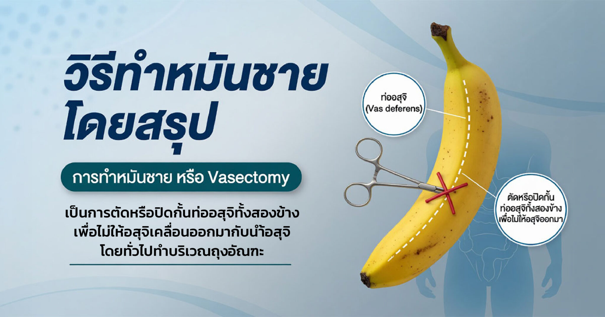 คำอธิบายรูปตามหัวข้อบทความ