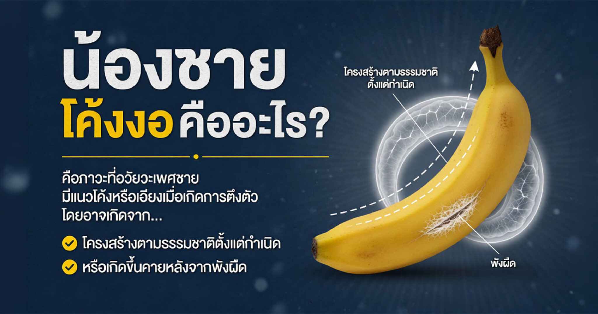 คำอธิบายรูปตามหัวข้อบทความ