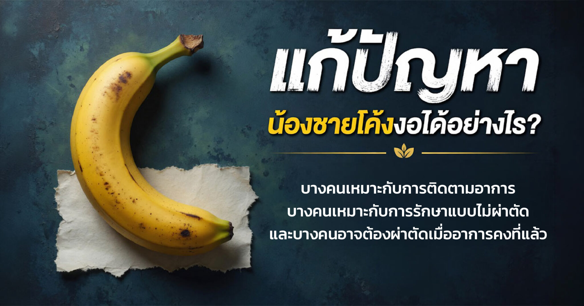 คำอธิบายรูปตามหัวข้อบทความ