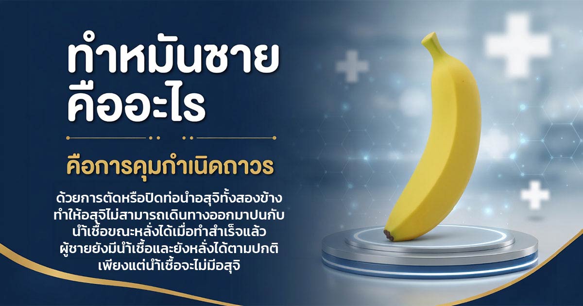 คำอธิบายรูปตามหัวข้อบทความ