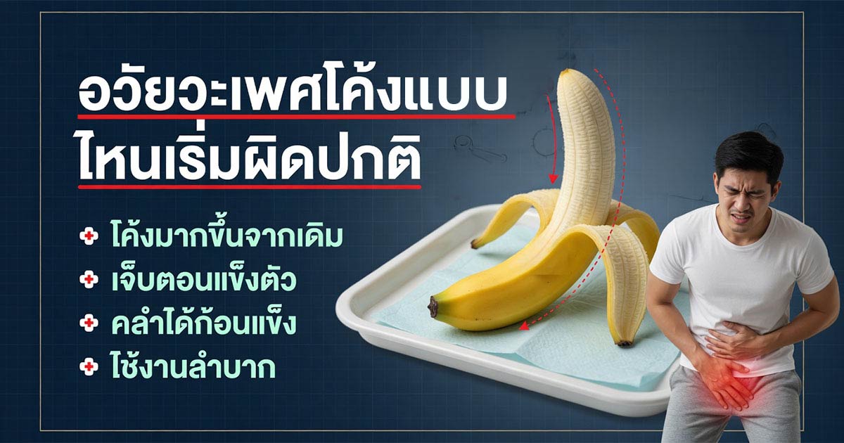 อวัยวะเพศโค้งแบบไหนเริ่มผิดปกติและควรตรวจ