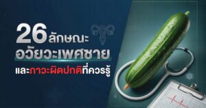อินโฟกราฟิกภาษาไทย: 26 ลักษณะอวัยวะเพศชายและภาวะผิดปกติที่ควรรู้ พร้อมแตงกวาและอุปกรณ์แพทย์
