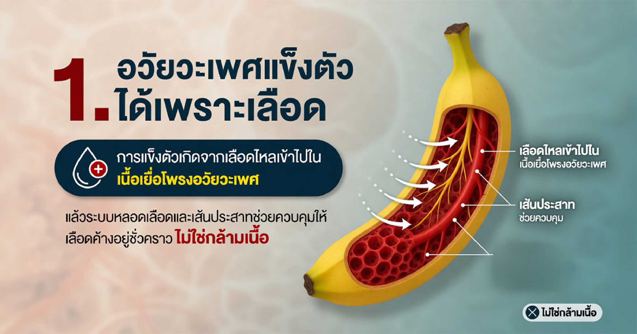 คำอธิบายรูปตามหัวข้อบทความ