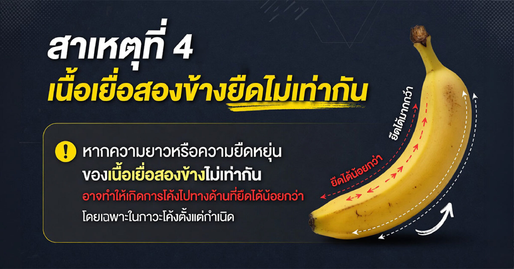 คำอธิบายรูปตามหัวข้อบทความ