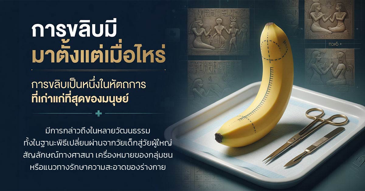 คำอธิบายรูปตามหัวข้อบทความ