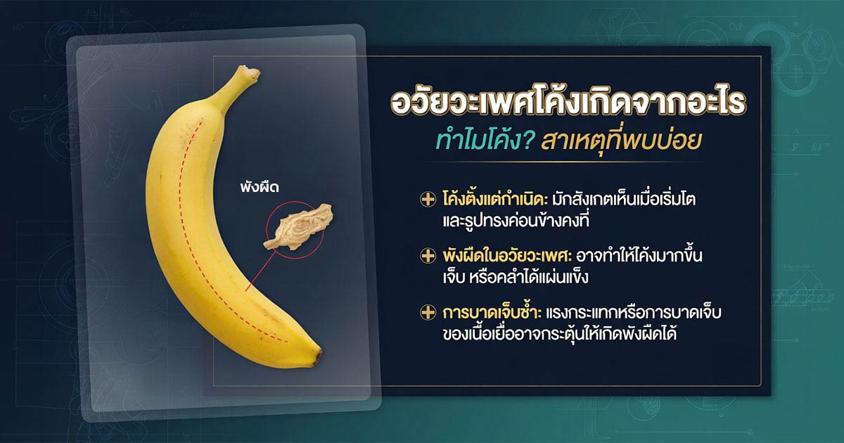 สาเหตุของอวัยวะเพศโค้งงอ