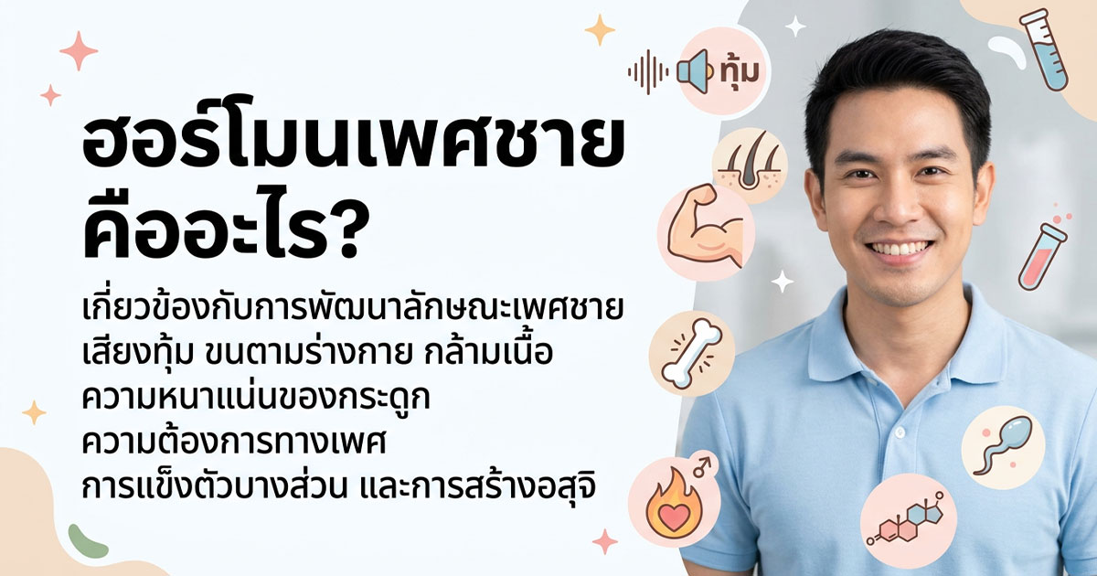 คำอธิบายรูปตามหัวข้อบทความ