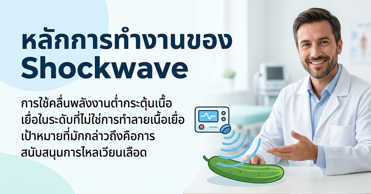 คำอธิบายรูปตามหัวข้อบทความ