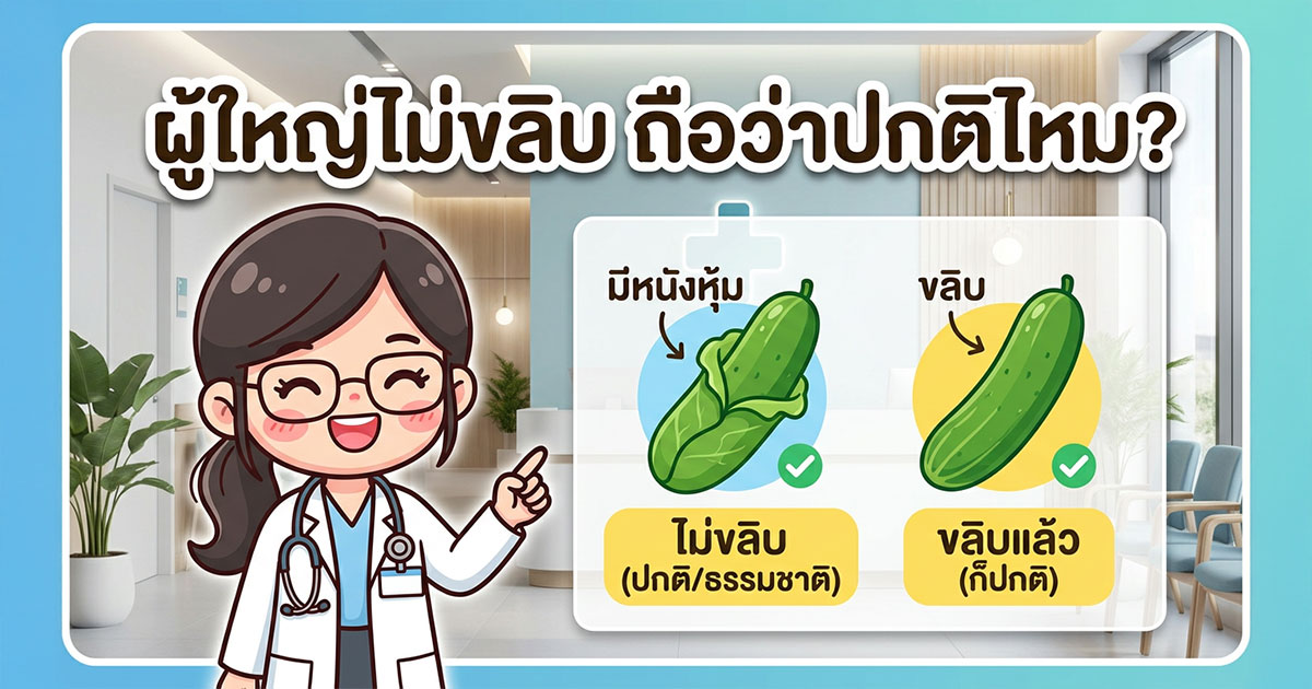 คำอธิบายรูปตามหัวข้อบทความ