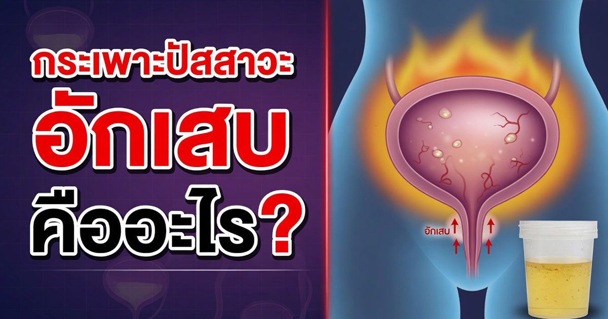 คำอธิบายรูปตามหัวข้อบทความ