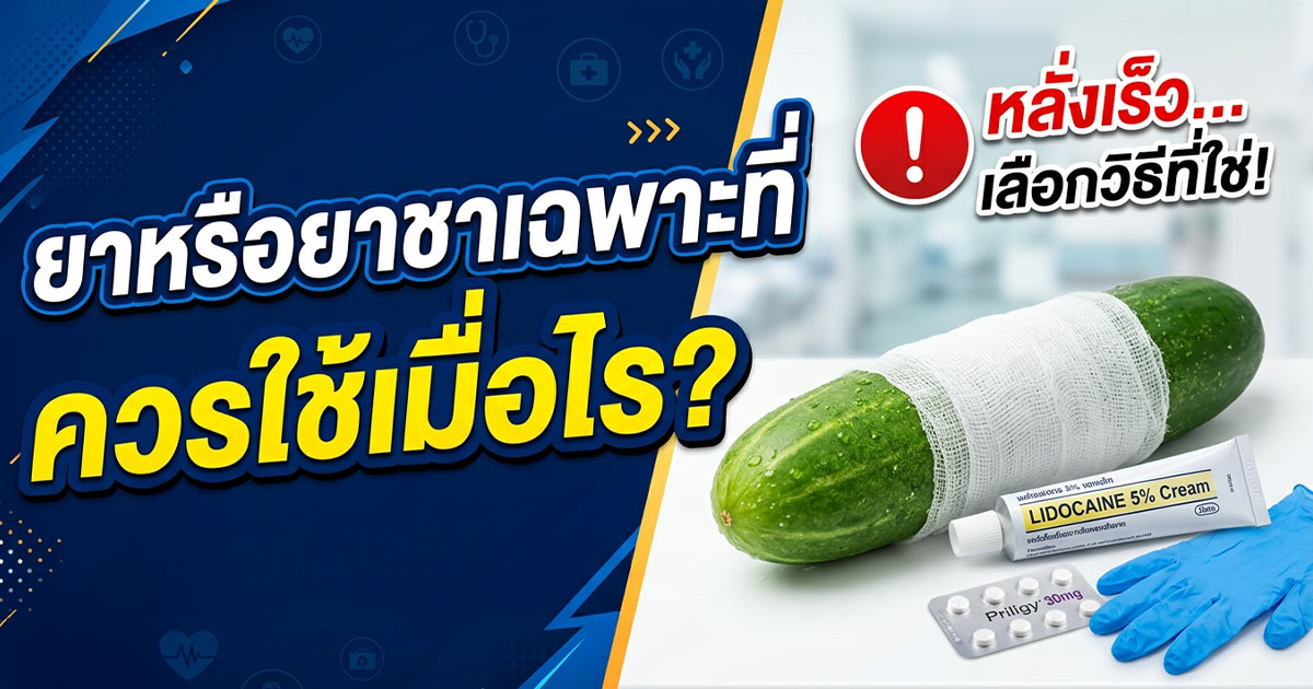คำอธิบายรูปตามหัวข้อบทความ
