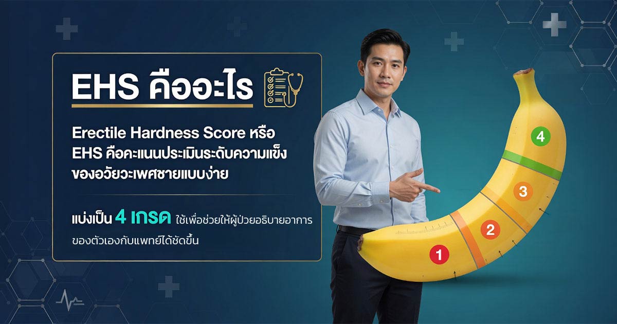 คำอธิบายรูปตามหัวข้อบทความ