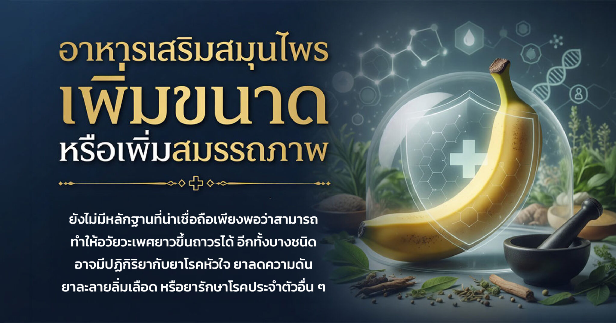 คำอธิบายรูปตามหัวข้อบทความ