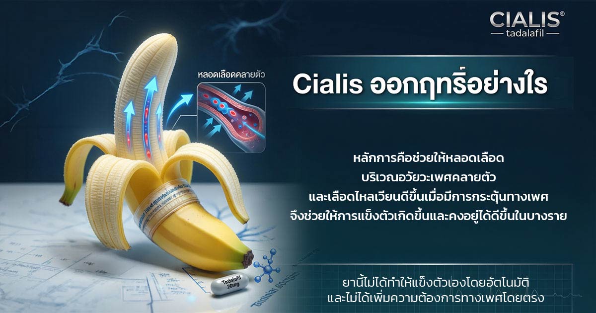 Cialis Tadalafil ยากลุ่ม PDE5 inhibitors สำหรับภาวะหย่อนสมรรถภาพทางเพศ