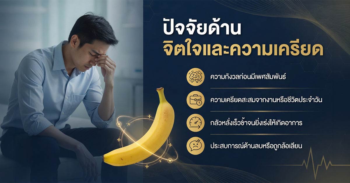 คำอธิบายรูปตามหัวข้อบทความ