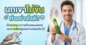 นกเขาไม่ขัน ทำอย่างไรดี