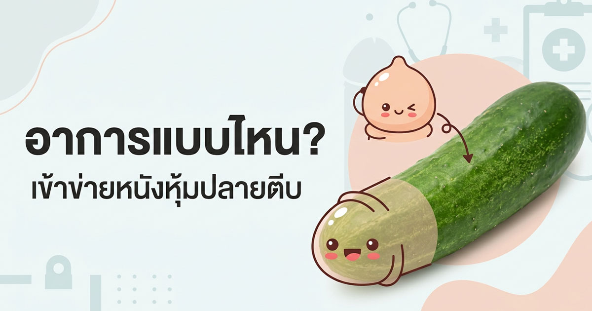 คำอธิบายรูปตามหัวข้อบทความ