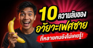 ความลับของน้องชาย