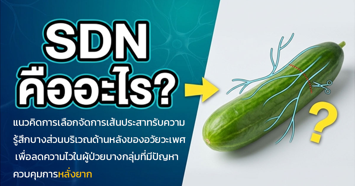 คำอธิบายรูปตามหัวข้อบทความ