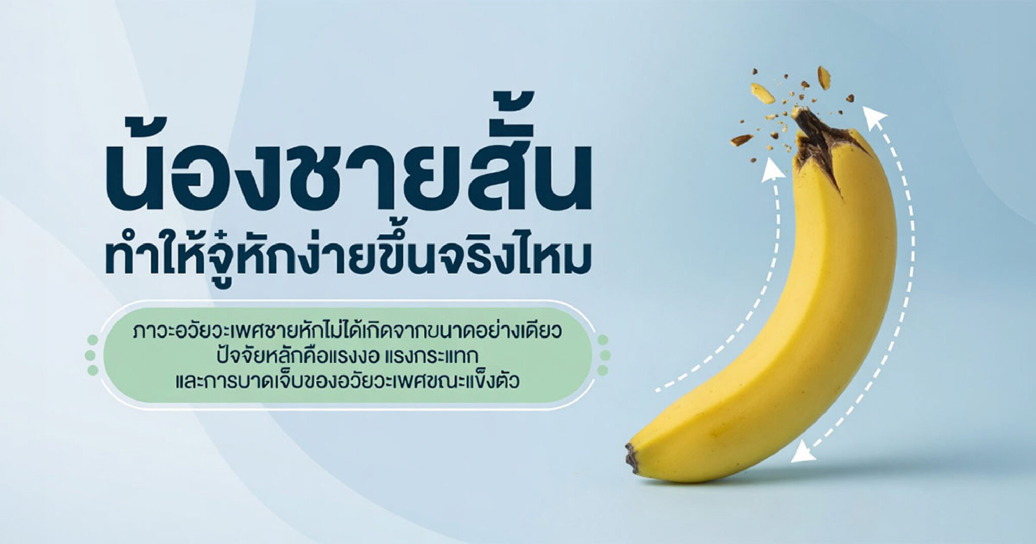 คำอธิบายรูปตามหัวข้อบทความ