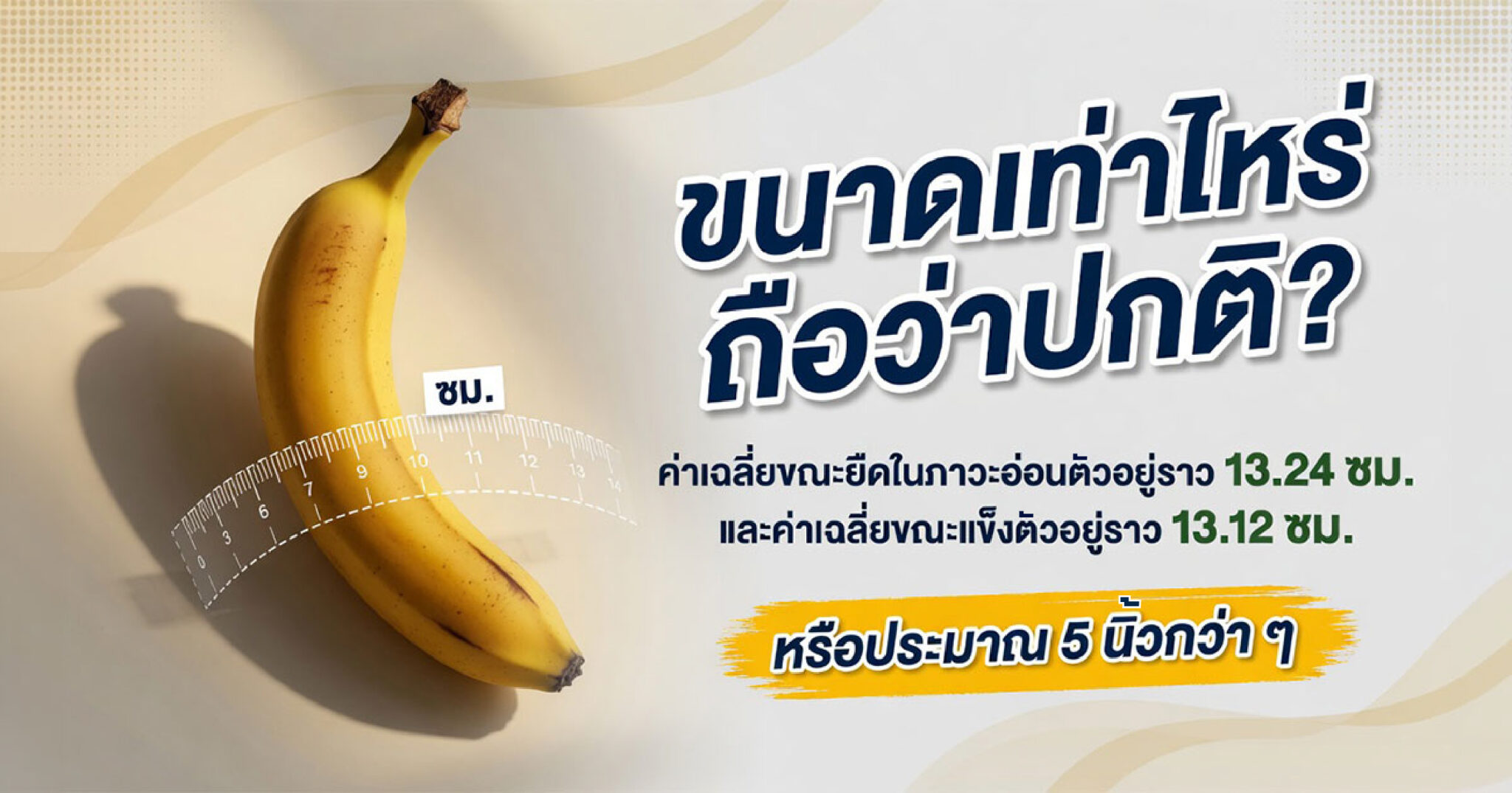 คำอธิบายรูปตามหัวข้อบทความ