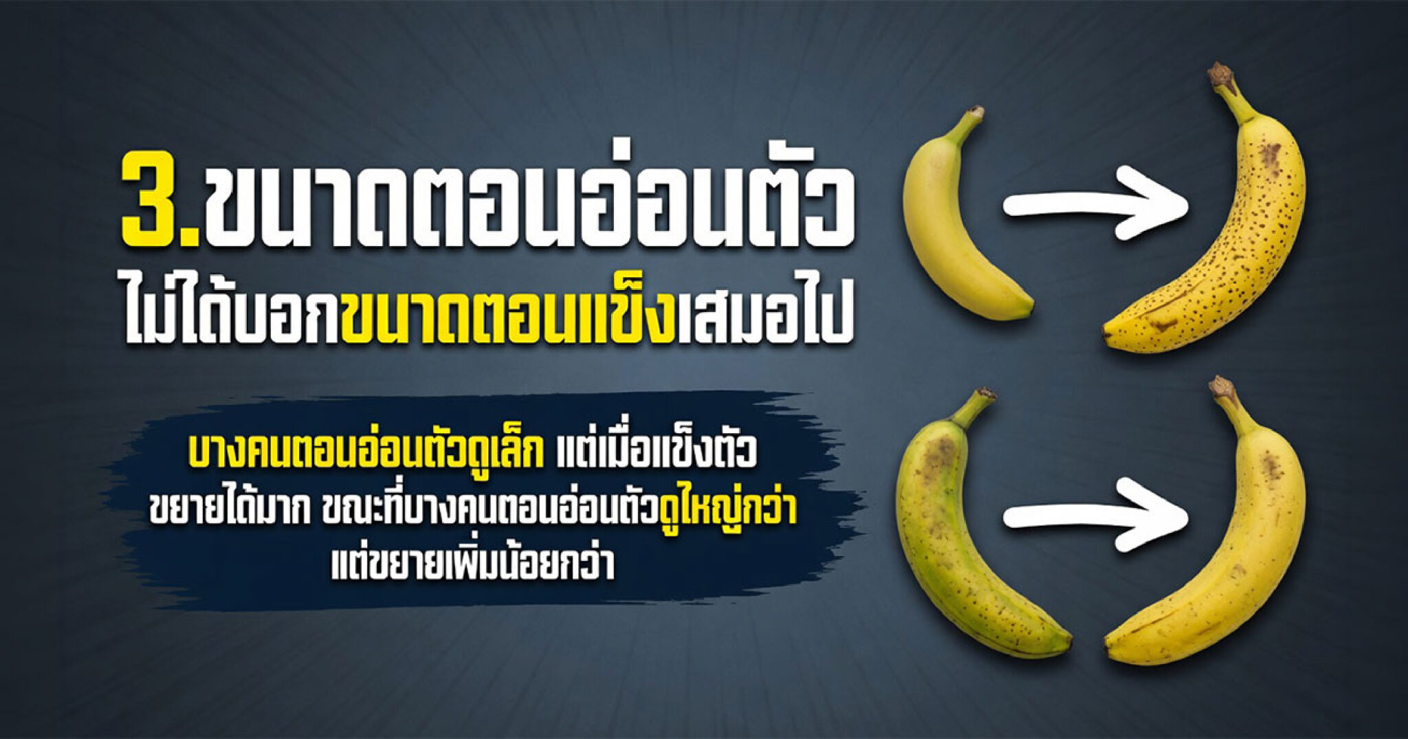 คำอธิบายรูปตามหัวข้อบทความ