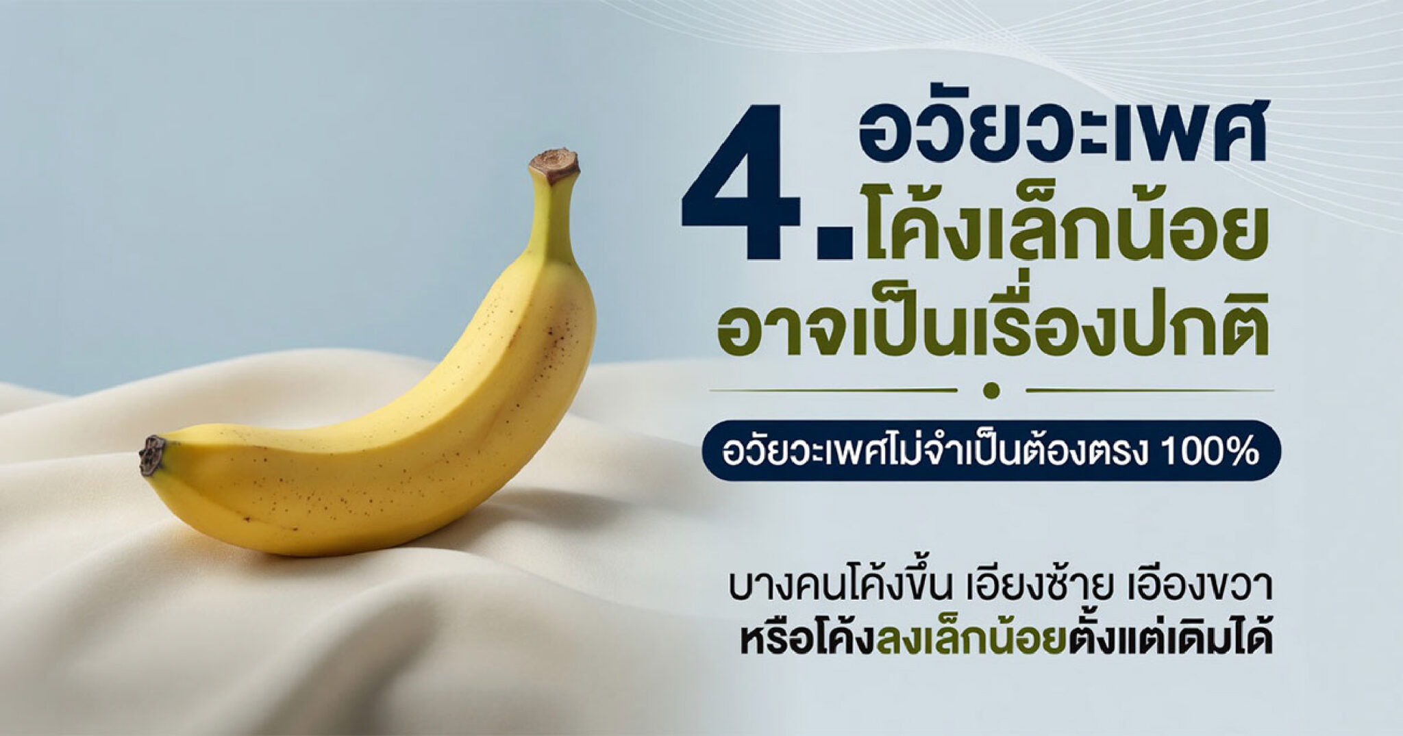 คำอธิบายรูปตามหัวข้อบทความ