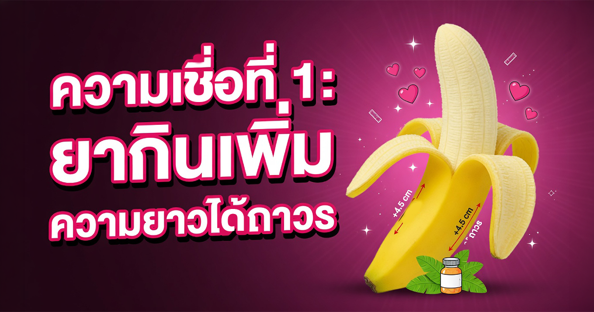 คำอธิบายรูปตามหัวข้อบทความ