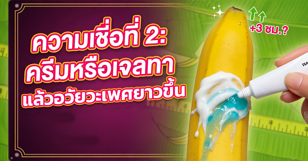 คำอธิบายรูปตามหัวข้อบทความ