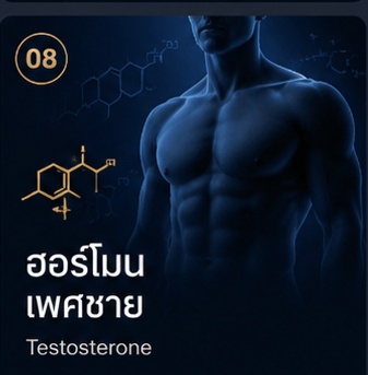 ฮอร์โมนเพศชาย Testosterone