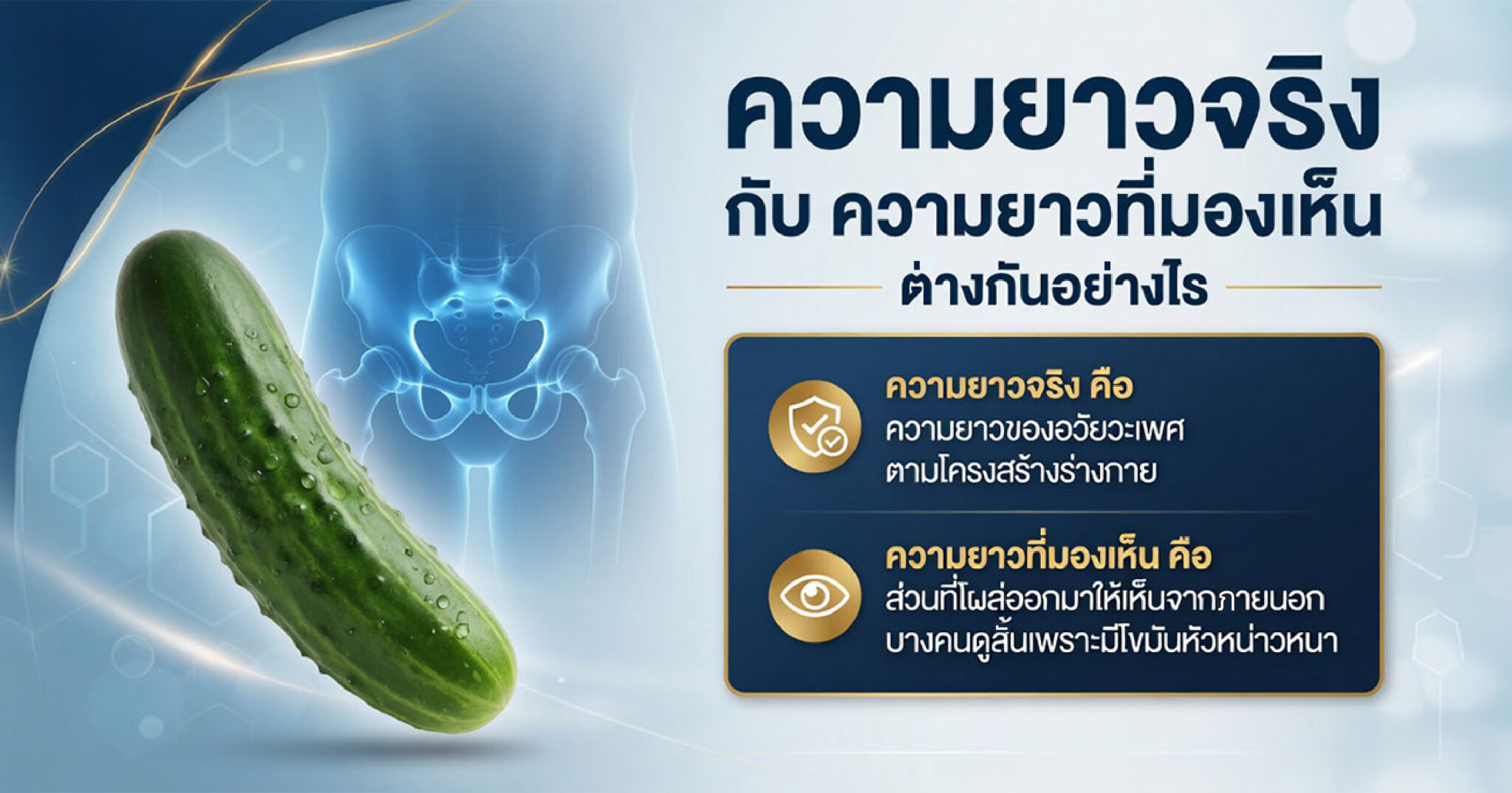 ความแตกต่างระหว่างความยาวจริงและความยาวที่มองเห็นของอวัยวะเพศชาย