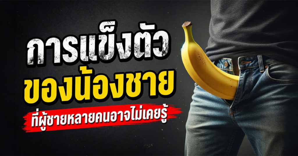 Erection - ETERNITY CLINIC นพ.สืบพงษ์ เอ่งฉ้วน การแข็งตัวของน้องชาย