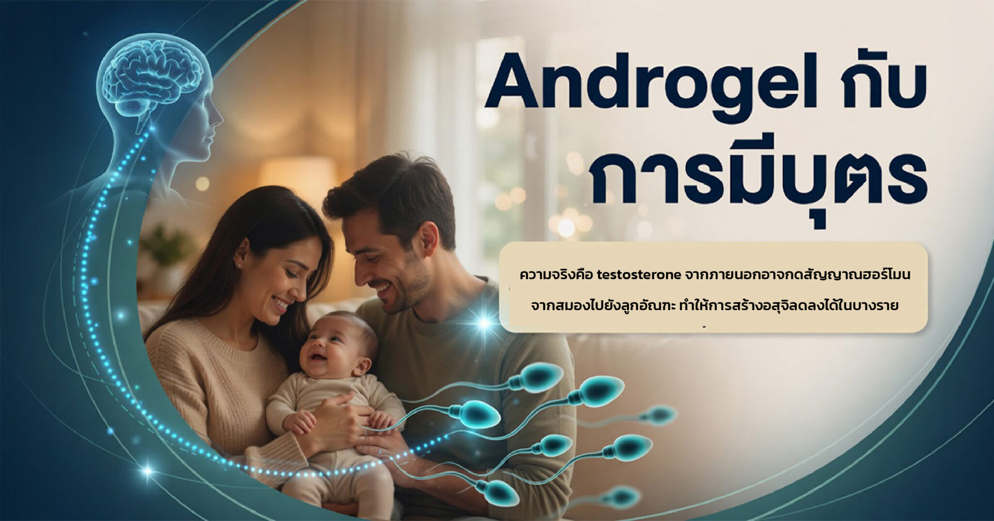 Androgel และผลต่อการสร้างอสุจิในผู้ชายที่วางแผนมีบุตร