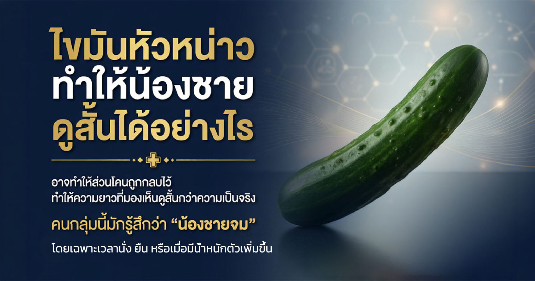 ไขมันหัวหน่าวอาจทำให้ความยาวอวัยวะเพศที่มองเห็นลดลง