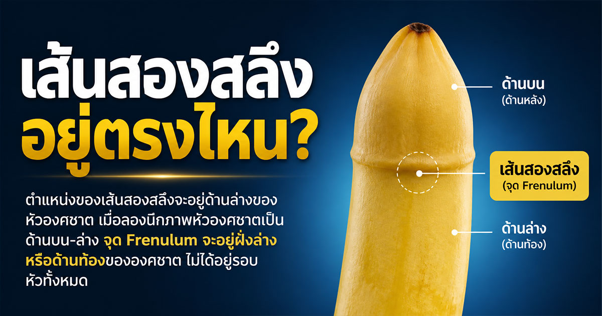 เส้นสองสลึงอยู่ตรงไหน