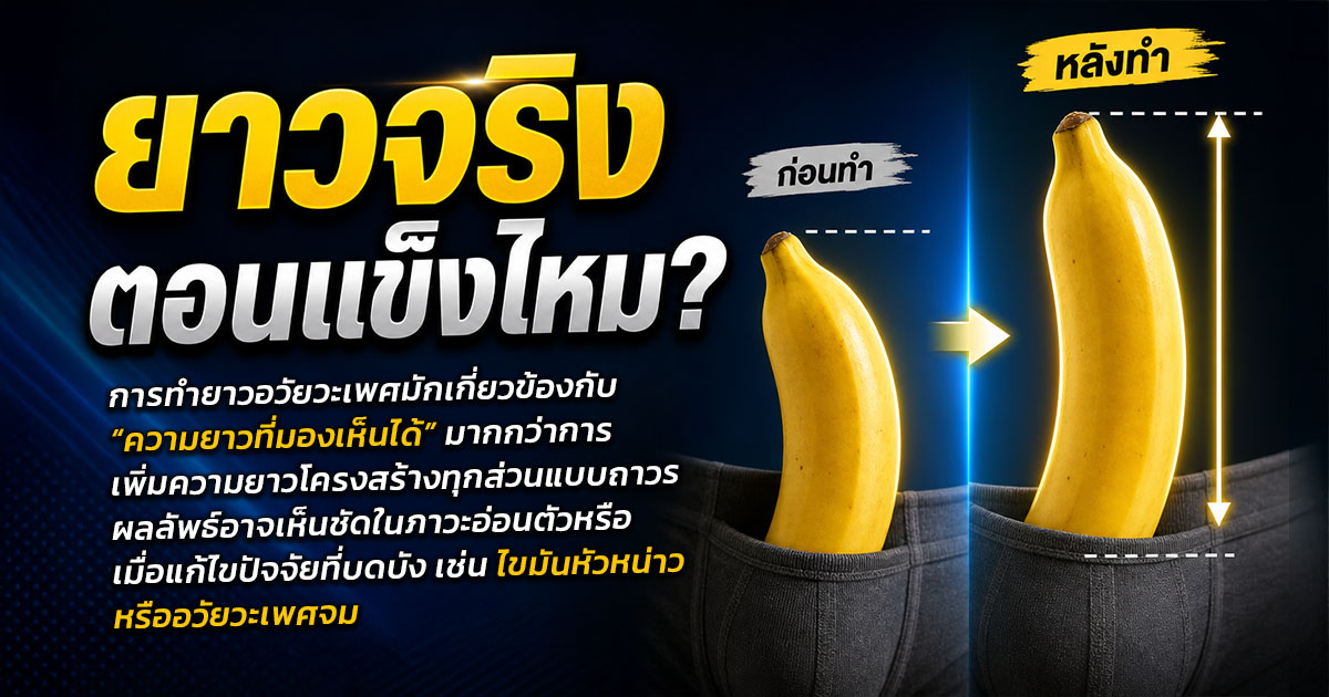 ยาวจริงตอนแข็งไหม?