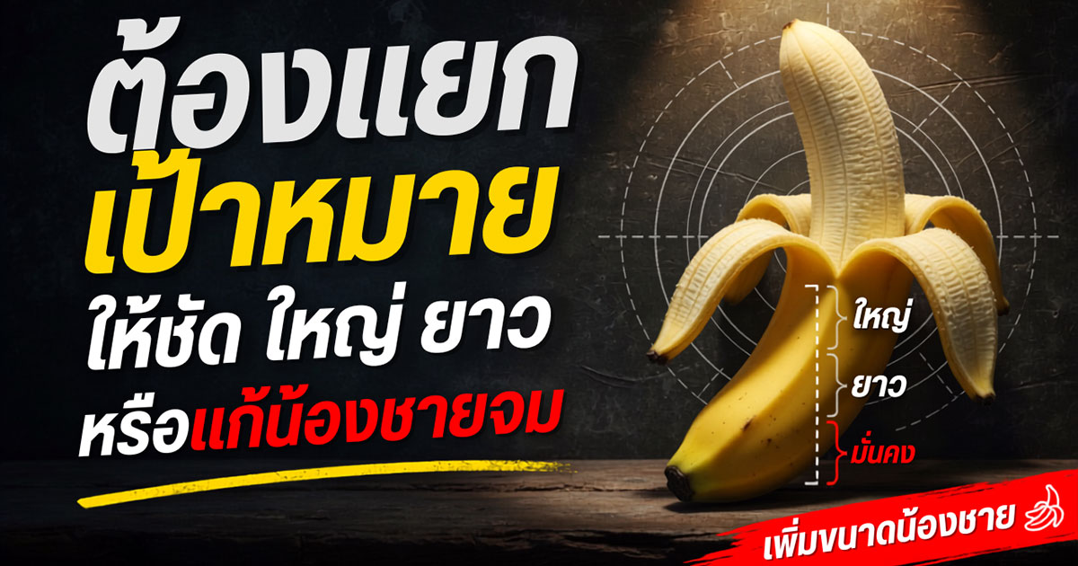 คำอธิบายรูปตามหัวข้อบทความ