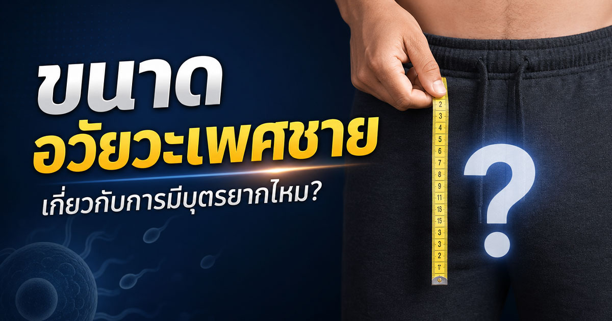 ขนาดอวัยวะเพศชายเกี่ยวกับการมีบุตรยากไหม