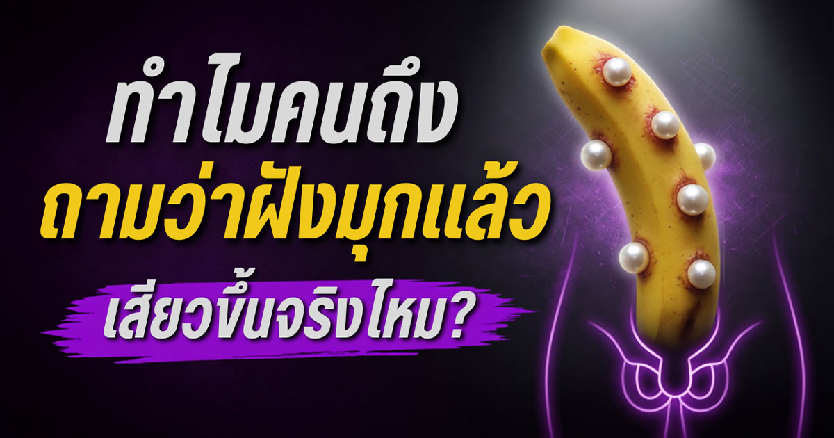 คำอธิบายรูปตามหัวข้อบทความ