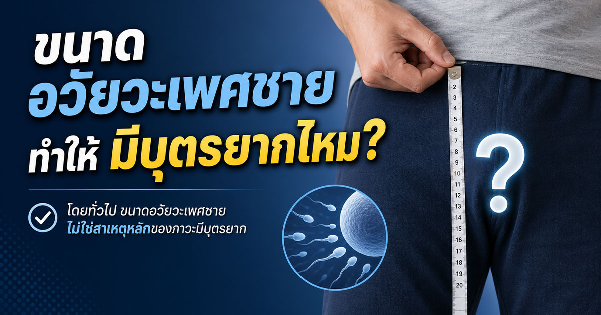 ขนาดอวัยวะเพศชายทำให้มีบุตรยากไหม