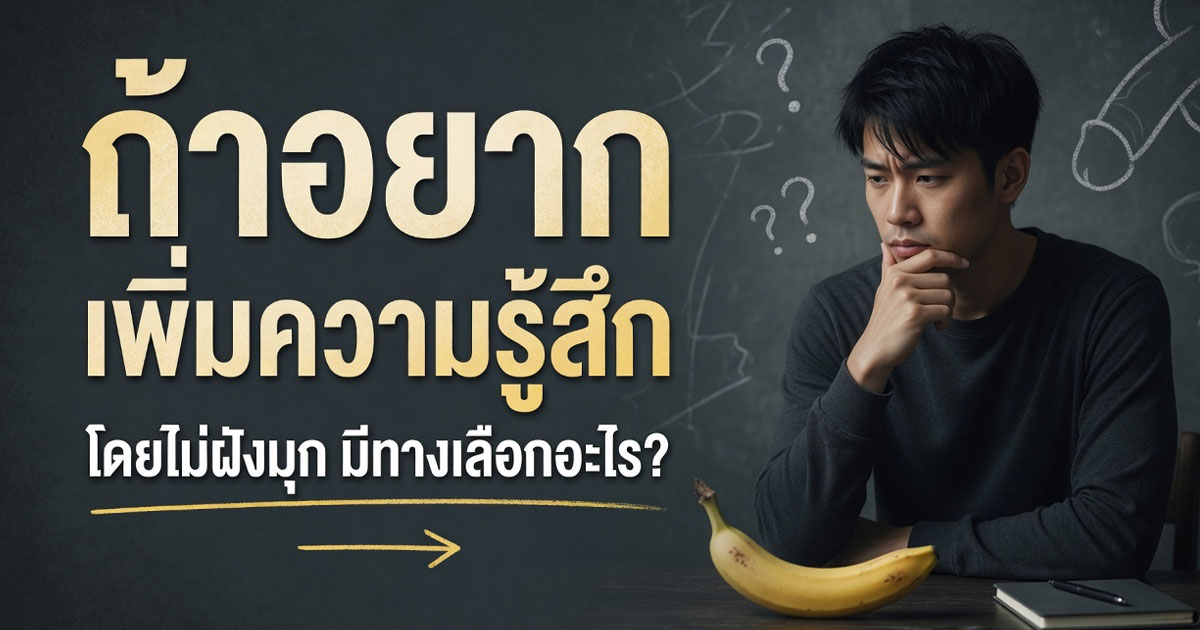 คำอธิบายรูปตามหัวข้อบทความ