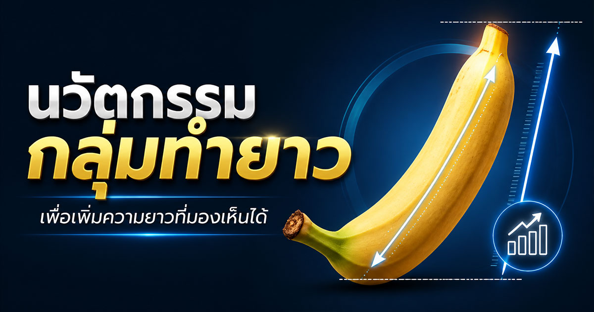 คำอธิบายรูปตามหัวข้อบทความ
