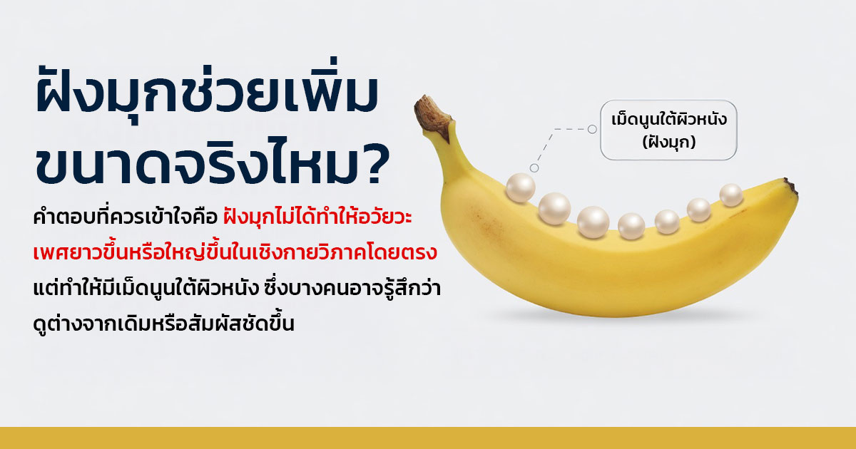 คำอธิบายรูปตามหัวข้อบทความ