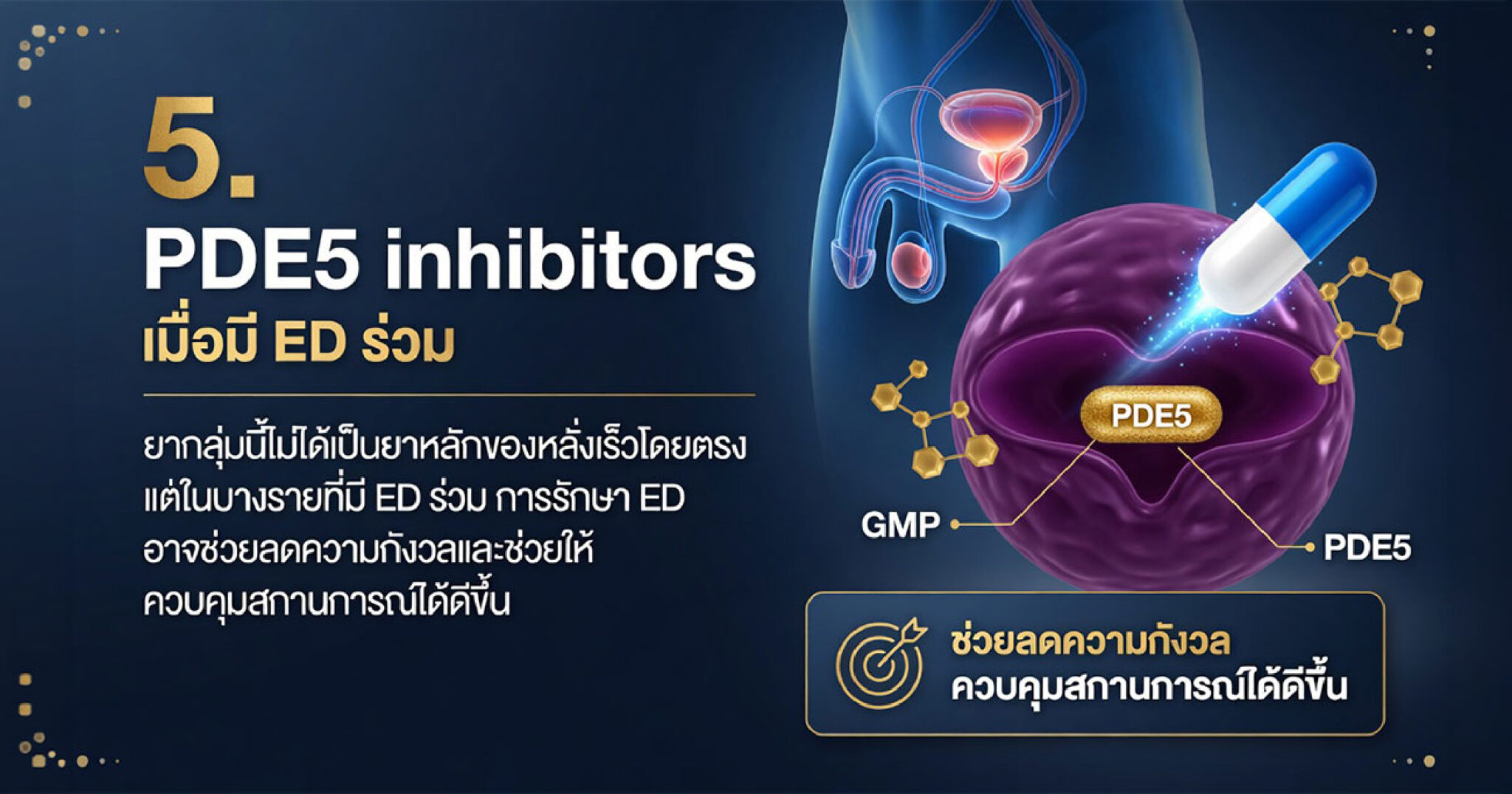 ยา PDE5 inhibitors อาจพิจารณาเมื่อมีภาวะหย่อนสมรรถภาพทางเพศร่วม