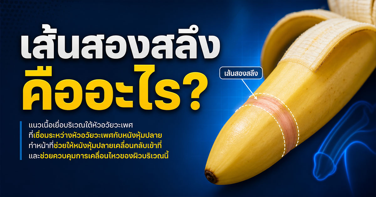 เส้นสองสลึงคืออะไร