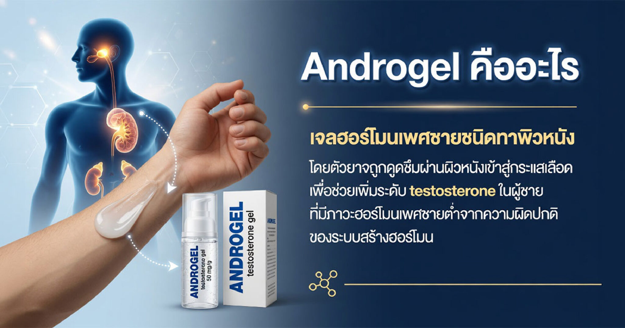 Androgel และการรักษาทดแทนฮอร์โมนเพศชายภายใต้การดูแลของแพทย์